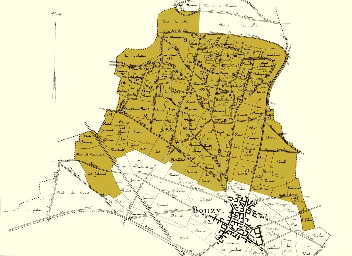 June Edition | Regional Identity
