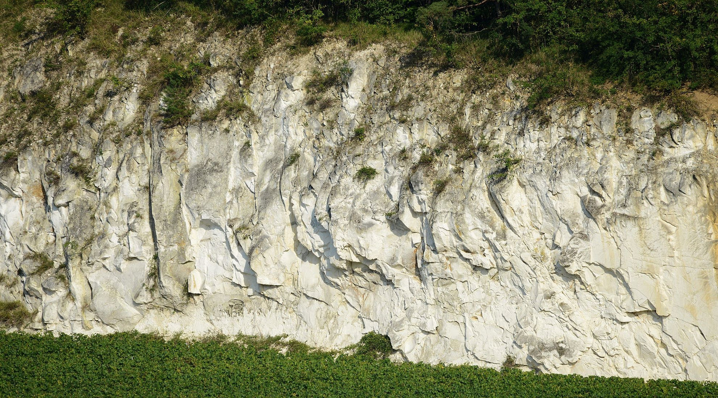 The June Edition - Great Expressions of ‘Terroir’