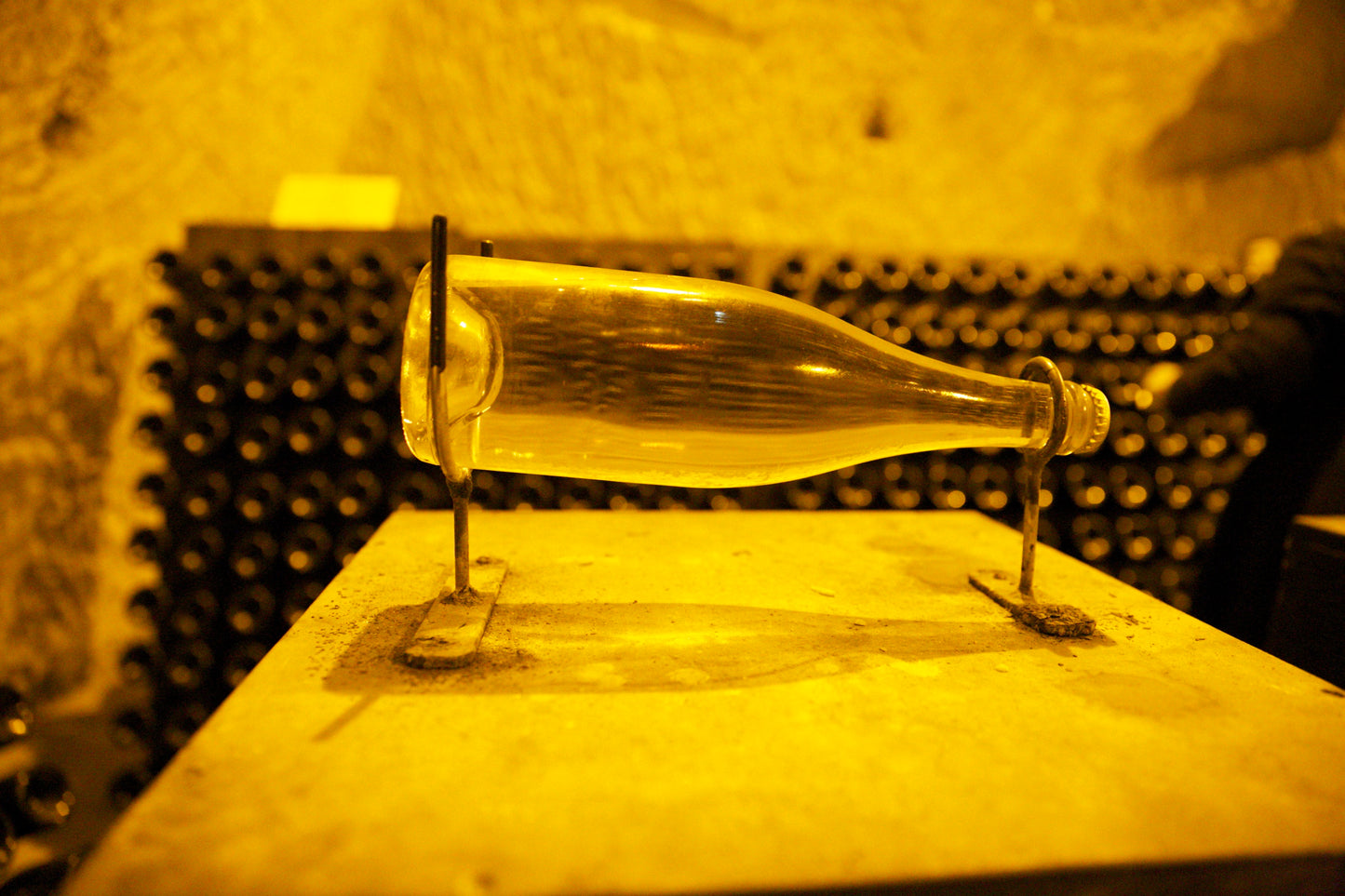 The November Edition | The Role of Lees in Champagne