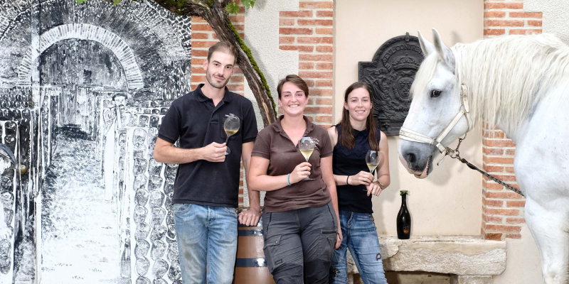 Discover De Sousa: The Next Generation