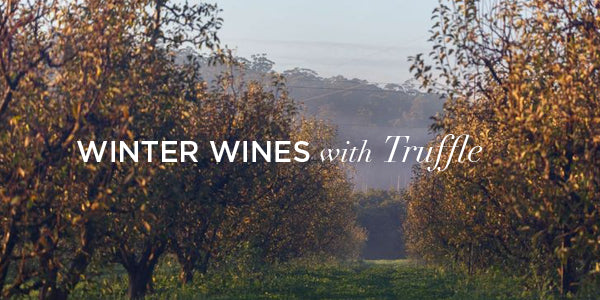 July Edition | Winter Wonderland Truffle Pairing