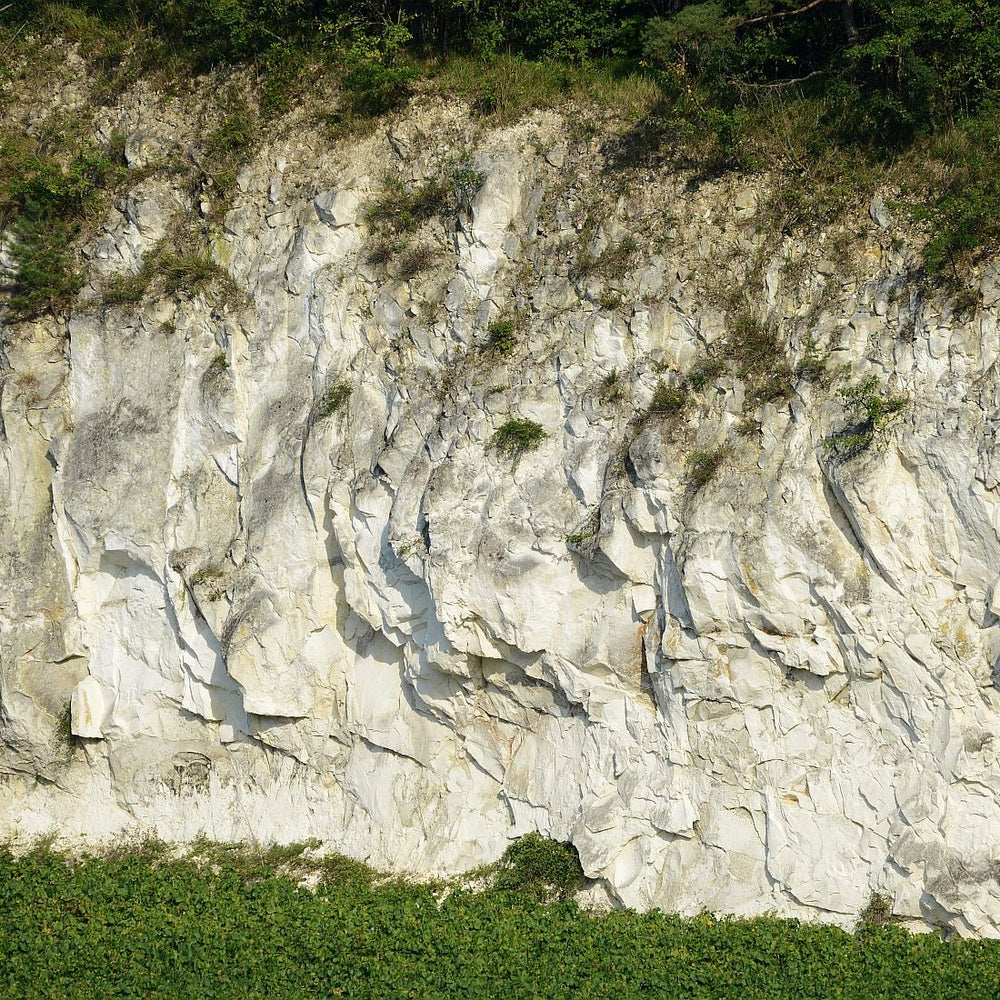 The June Edition - Great Expressions of ‘Terroir’