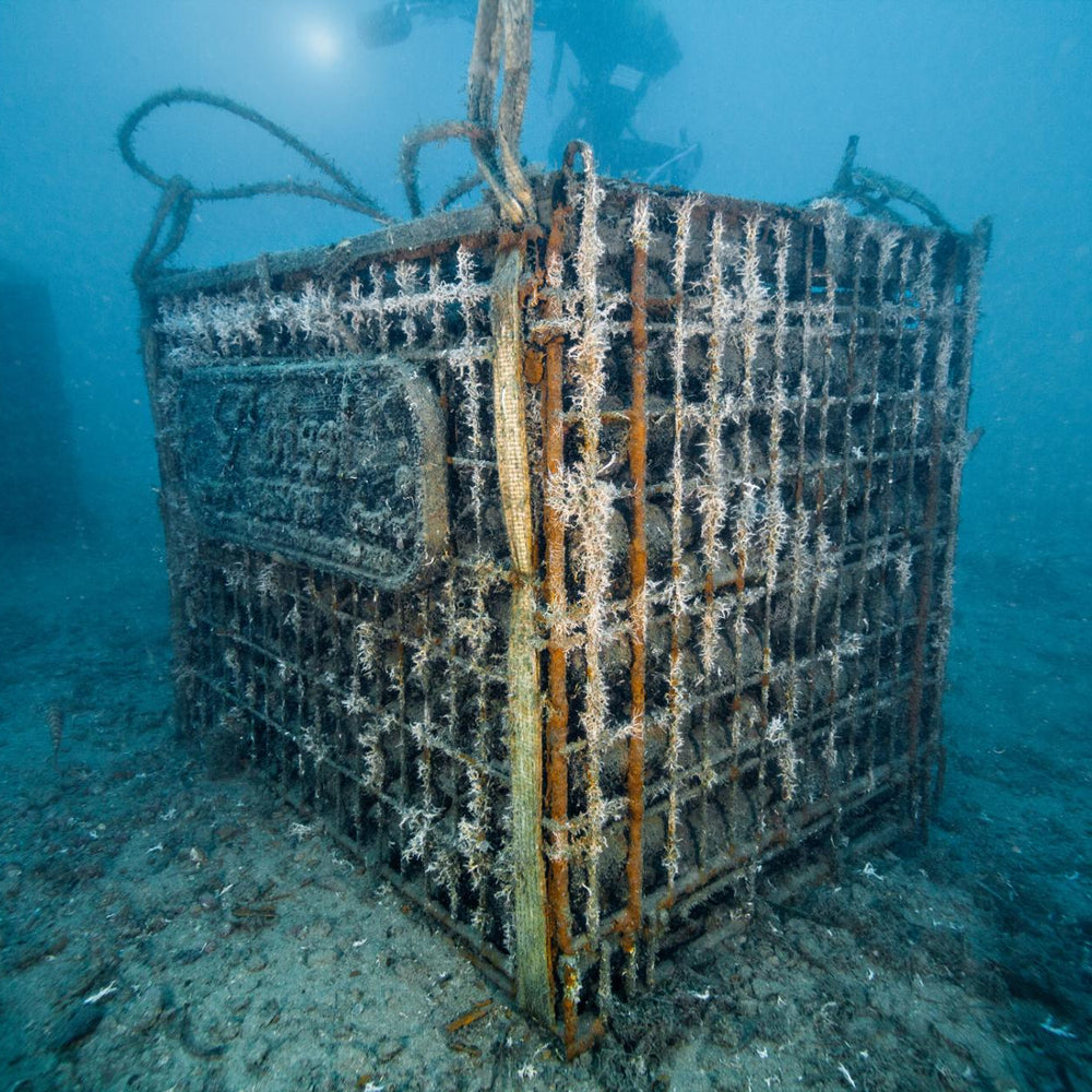Champagne Under the Sea