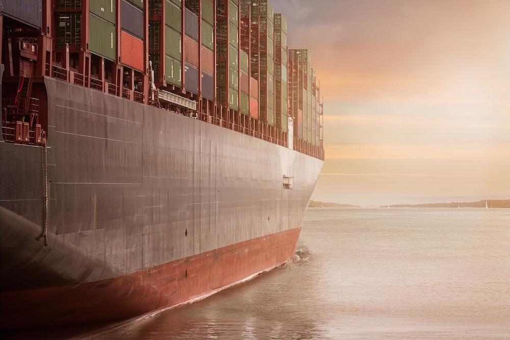 The January Edition | Fresh off the Boat