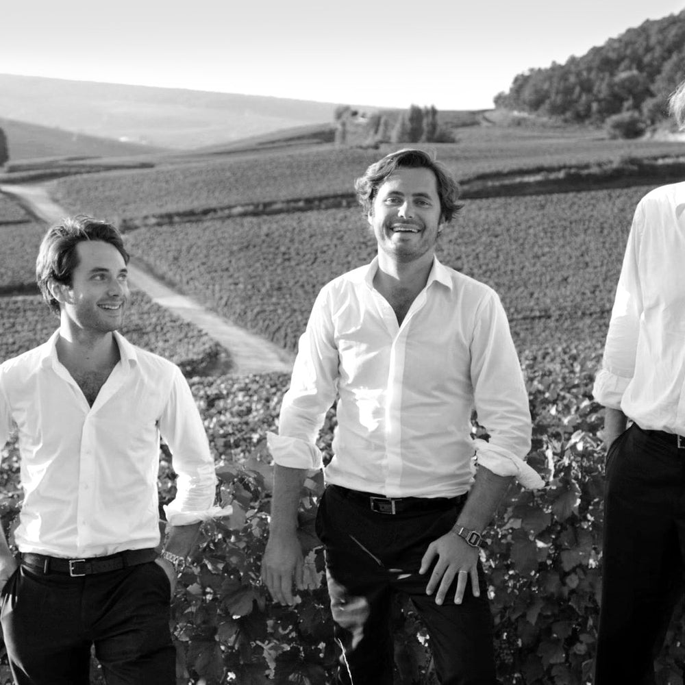 Meet the Maison - Rodolphe Frerejean-Taittinger