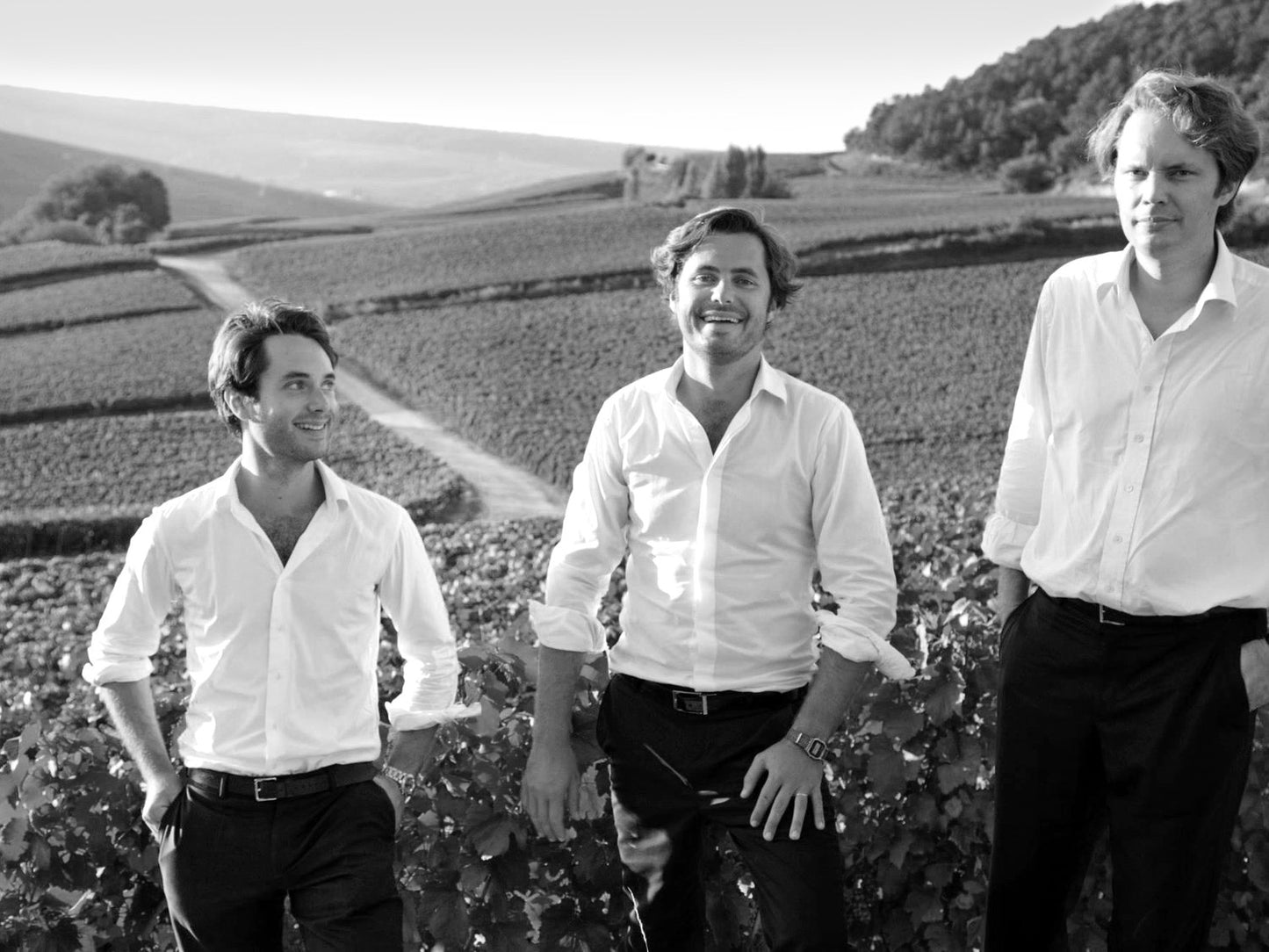 Meet the Maison - Rodolphe Frerejean-Taittinger