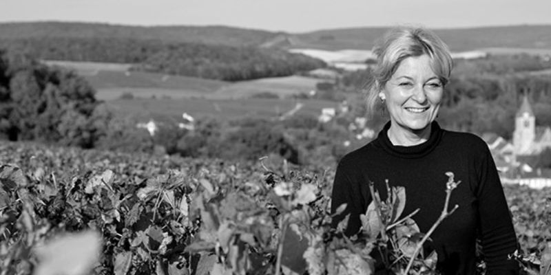Biodynamic and Organic Viticulture with Champagne Yves Ruffin