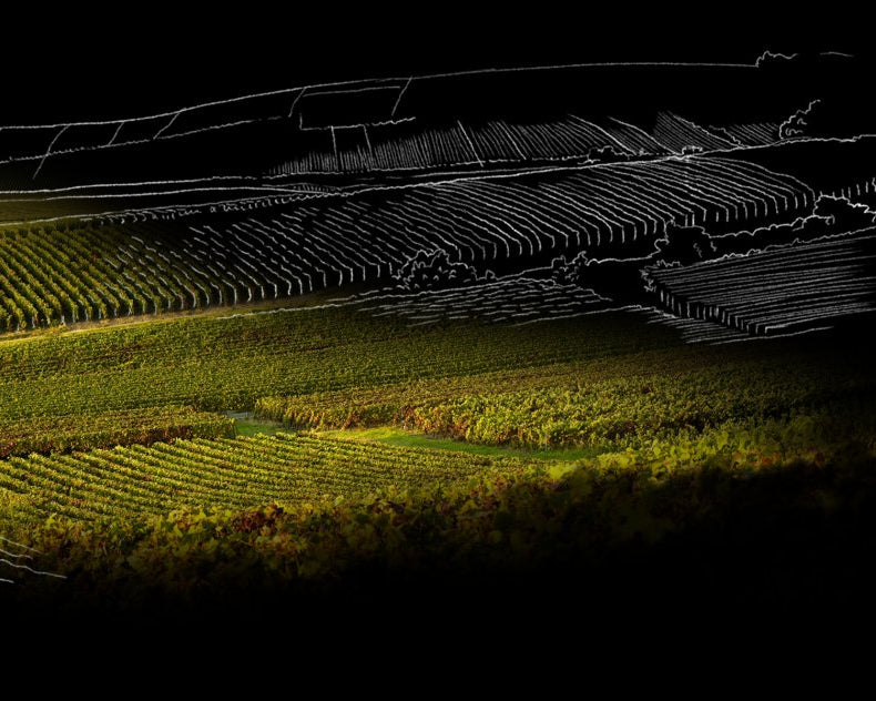 Aerial view of a vineyard with geometric patterns overlayed on a dark background